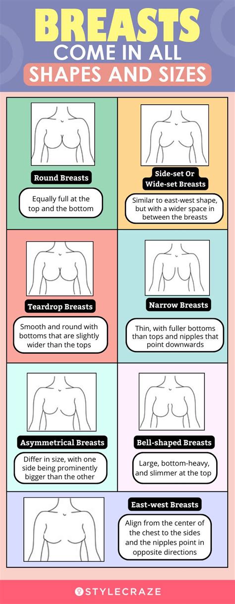 Your Guide to Common Breast Shapes